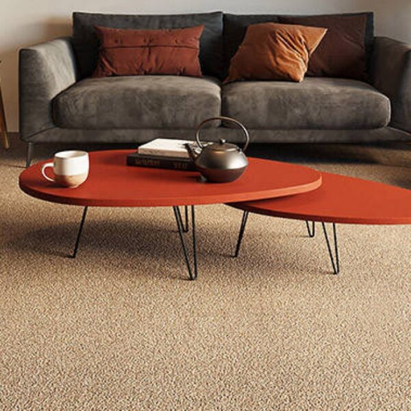 kovrolin_terra_42_interyer
